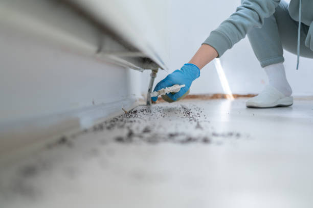 Pest Control Cost in Ashwaubenon, WI